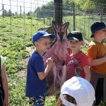 phoca_thumb_m_horeky  31 Fotogalerie